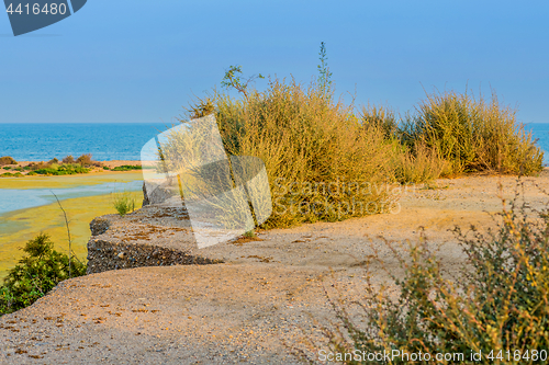 Image of Seascape with road in natural park, Almeria