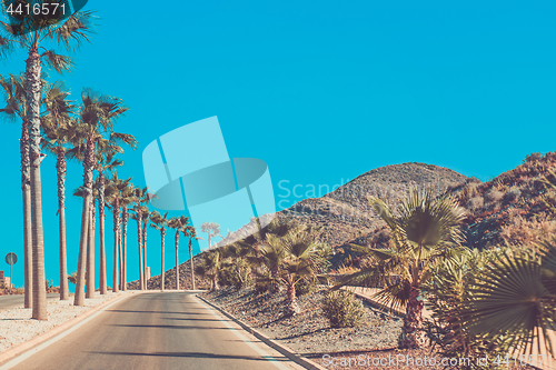 Image of Andalusia street with palm trees at sunset
