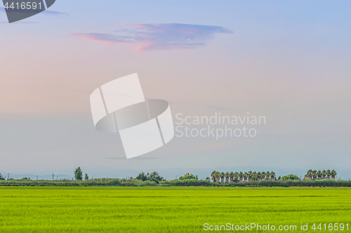 Image of Romantic tranquil and peaceful dusk landscape view