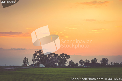 Image of Sunset with silhouette of trees
