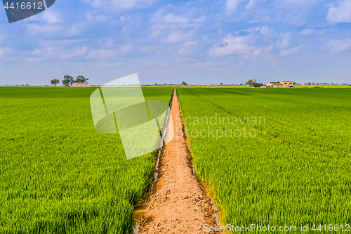 Image of Road in a field