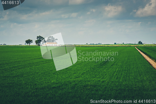Image of Road in a field