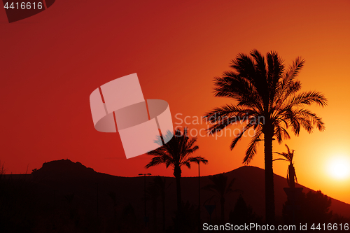 Image of Orange Andalusian sunset with silhouette palm trees