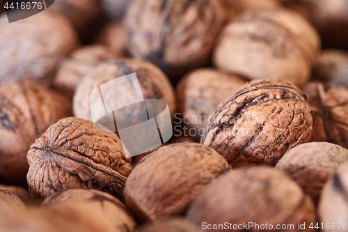 Image of Walnuts in a pile