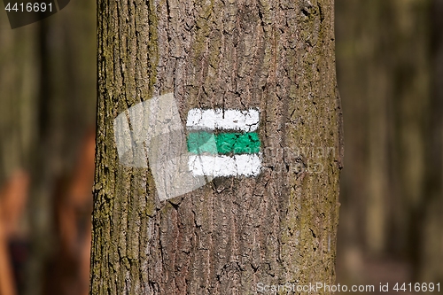 Image of Hiking trail signs