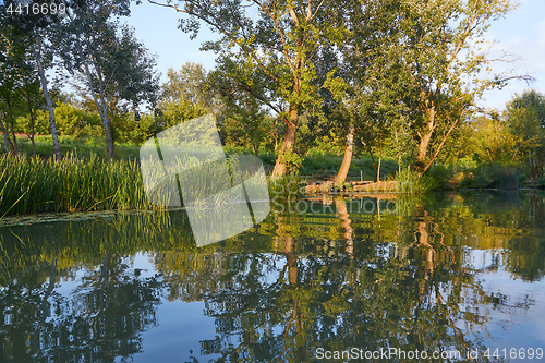 Image of Water surface with trees