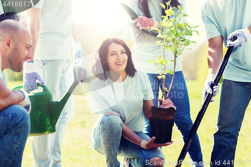 Image of group of volunteers planting tree in park