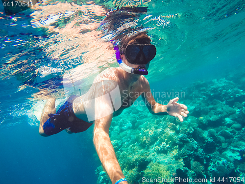 Image of Snorkel swims in shallow water, Red Sea, Egypt