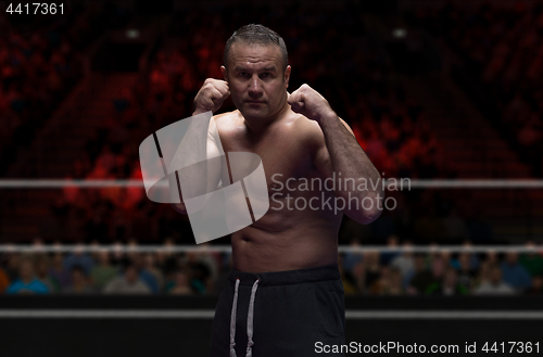 Image of professional kickboxer in the training ring