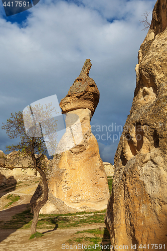 Image of Fairy houses stone cliffs