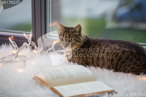 Image of tabby cat lying on window sill with book at home