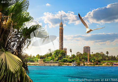 Image of Nile in Cairo