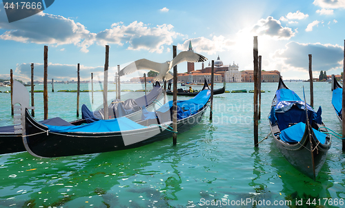 Image of Seagull over gondolas