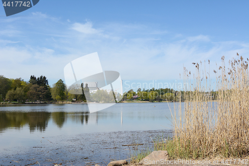 Image of Toolo Bay in Hesperia Park, edged by tall reeds