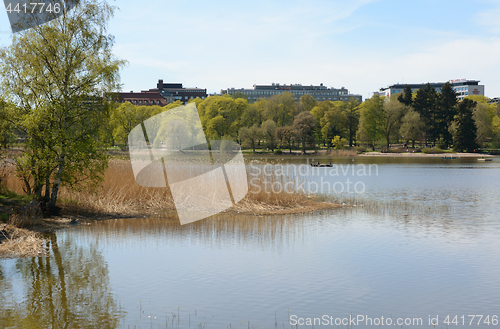 Image of People rowing a boat on Toolo bay in Helsinki