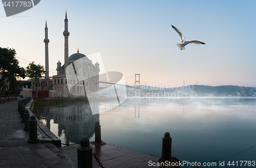 Image of Seagull over Ortakoy Mosque