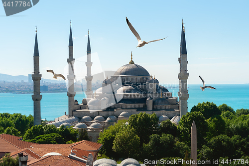 Image of Mosque in Istanbul