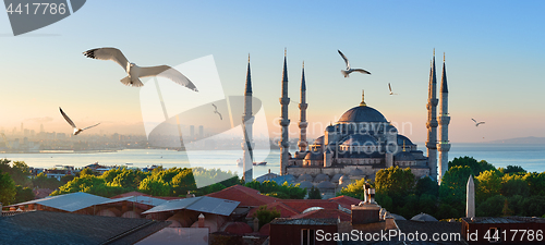 Image of Mosque and Bosphorus in Istanbul