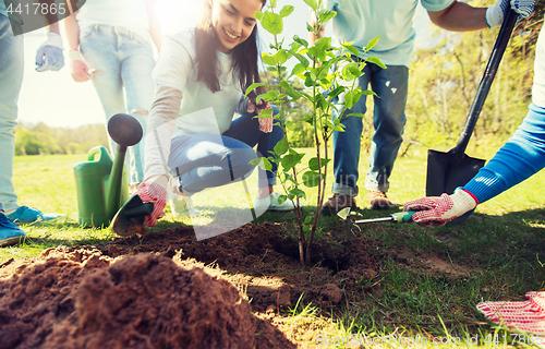 Image of group of volunteers hands planting tree in park