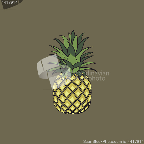 Image of Tropical fruit pineapple