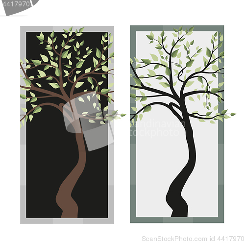 Image of Trees with leaves