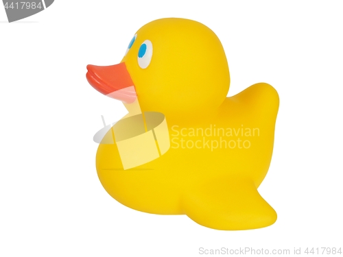 Image of Yellow rubber duck