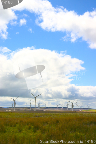 Image of Wind Farm