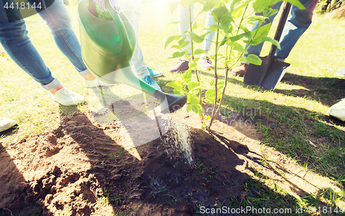 Image of group of volunteers planting tree in park