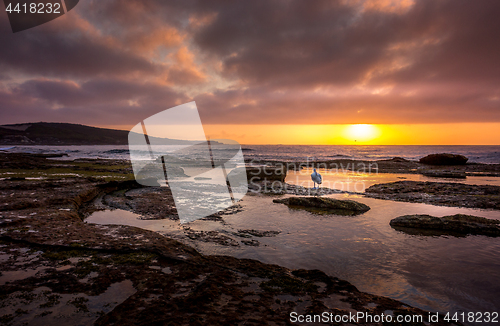 Image of Boat Harbour Australia with Pelican