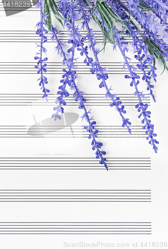 Image of Blue lavender flowers on empty sheet music paper