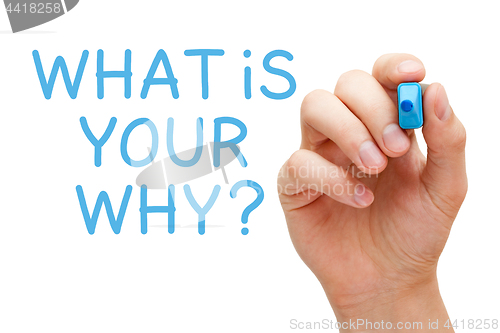 Image of What Is Your Why