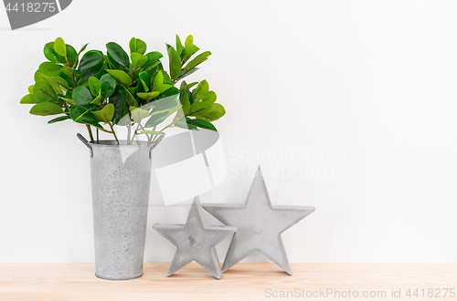 Image of Green plant and concrete stars home decor