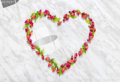 Image of Heart made of rose buds and green leaves