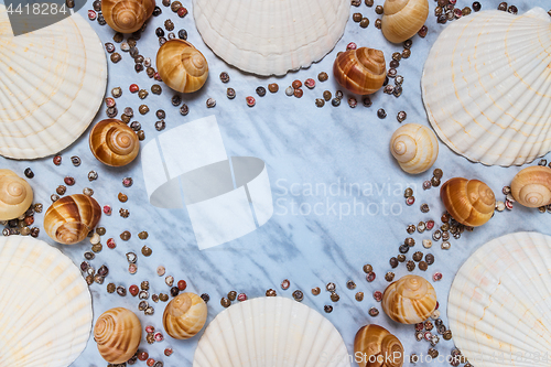 Image of Seashells frame on blue marble background