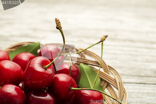 Image of Cherry