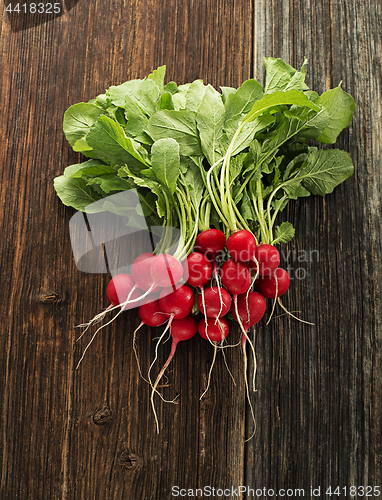 Image of Radish