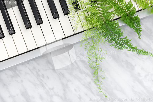 Image of Electric piano keys and green fern leaves