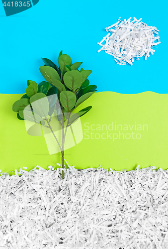 Image of Tree growing in recycled shredded paper under blue sky