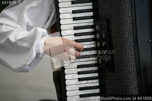 Image of Accordion player