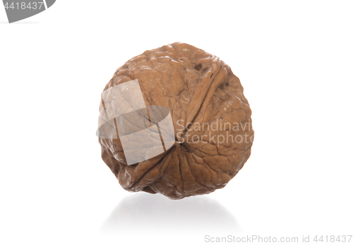 Image of Walnut isolated on white background