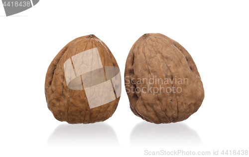 Image of Walnut isolated on white background