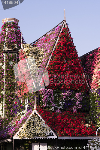 Image of Dubai miracle garden