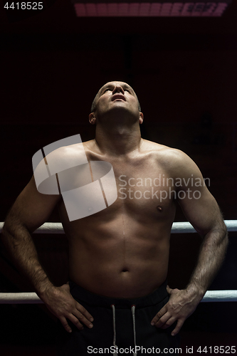 Image of portrait of muscular professional kickboxer