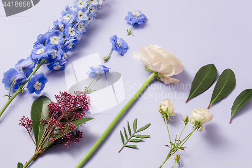 Image of Tools and accessories florists need for making up a bouquet