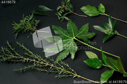 Image of Tools and accessories florists need for making up a bouquet