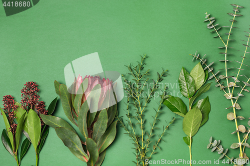 Image of Tools and accessories florists need for making up a bouquet