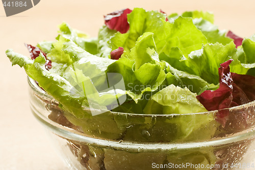 Image of salad