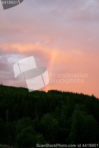 Image of Rainbow column