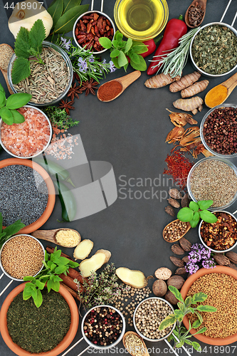 Image of Herb and Spice Abstract Border