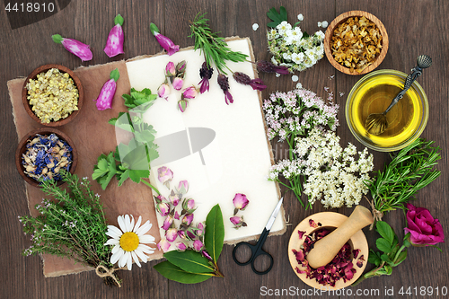 Image of Herbal Medicine Selection